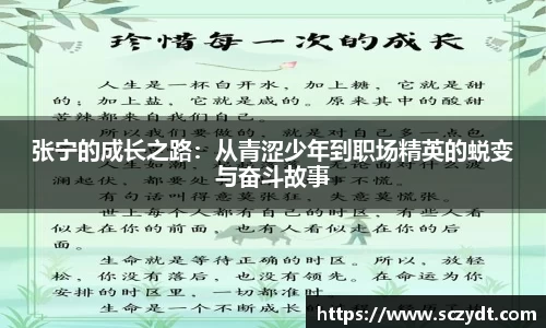 jjb竞技宝张宁的成长之路：从青涩少年到职场精英的蜕变与奋斗故事